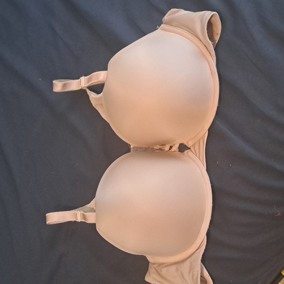 torrid Other - 360 push up plunge